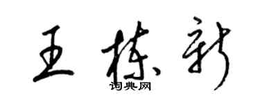 梁錦英王棟新草書個性簽名怎么寫