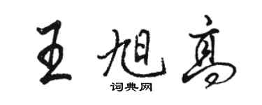 駱恆光王旭高行書個性簽名怎么寫