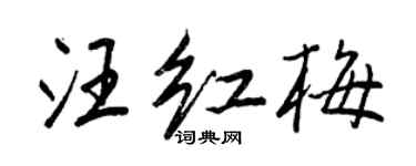 王正良汪紅梅行書個性簽名怎么寫