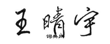 駱恆光王晴宇行書個性簽名怎么寫