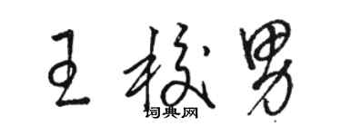 駱恆光王校男草書個性簽名怎么寫