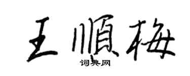 王正良王順梅行書個性簽名怎么寫