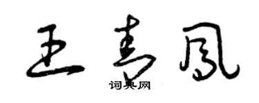 曾慶福王青鳳草書個性簽名怎么寫