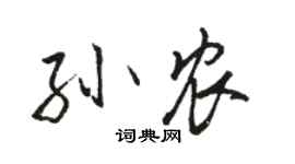 駱恆光孫農行書個性簽名怎么寫