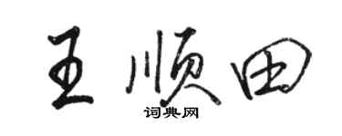 駱恆光王順田行書個性簽名怎么寫