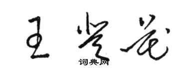 駱恆光王登花草書個性簽名怎么寫