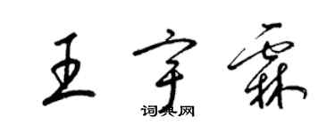 梁錦英王宇霖草書個性簽名怎么寫