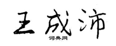 曾慶福王成沛行書個性簽名怎么寫