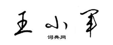 梁錦英王小軍草書個性簽名怎么寫