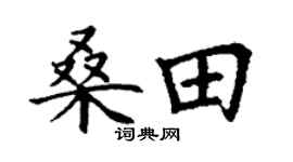 丁謙桑田楷書個性簽名怎么寫