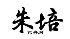 胡問遂朱培行書個性簽名怎么寫