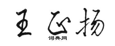 駱恆光王正揚行書個性簽名怎么寫