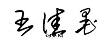 朱錫榮王佳墨草書個性簽名怎么寫