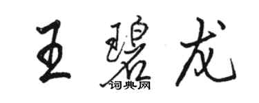 駱恆光王碧龍行書個性簽名怎么寫