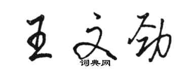 駱恆光王文勁行書個性簽名怎么寫