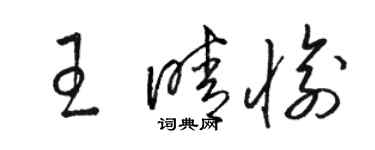駱恆光王晴愉草書個性簽名怎么寫