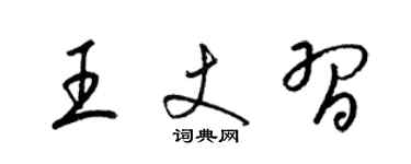 梁錦英王丈習草書個性簽名怎么寫