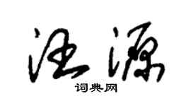 朱錫榮汪源草書個性簽名怎么寫