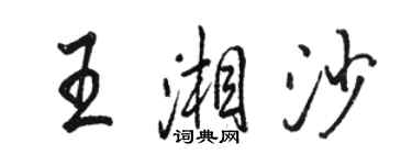 駱恆光王湘沙行書個性簽名怎么寫