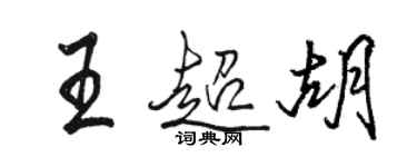 駱恆光王超胡行書個性簽名怎么寫