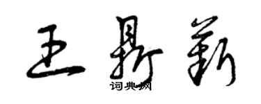 曾慶福王鼎薪草書個性簽名怎么寫