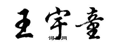 胡問遂王宇童行書個性簽名怎么寫