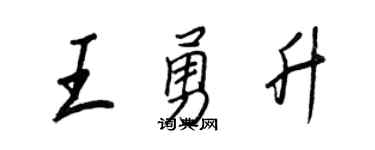 王正良王勇升行書個性簽名怎么寫