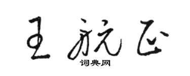 駱恆光王航正草書個性簽名怎么寫