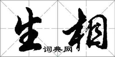 胡問遂生相行書怎么寫