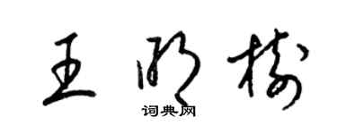 梁錦英王明樹草書個性簽名怎么寫