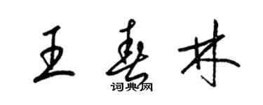 梁錦英王春林草書個性簽名怎么寫