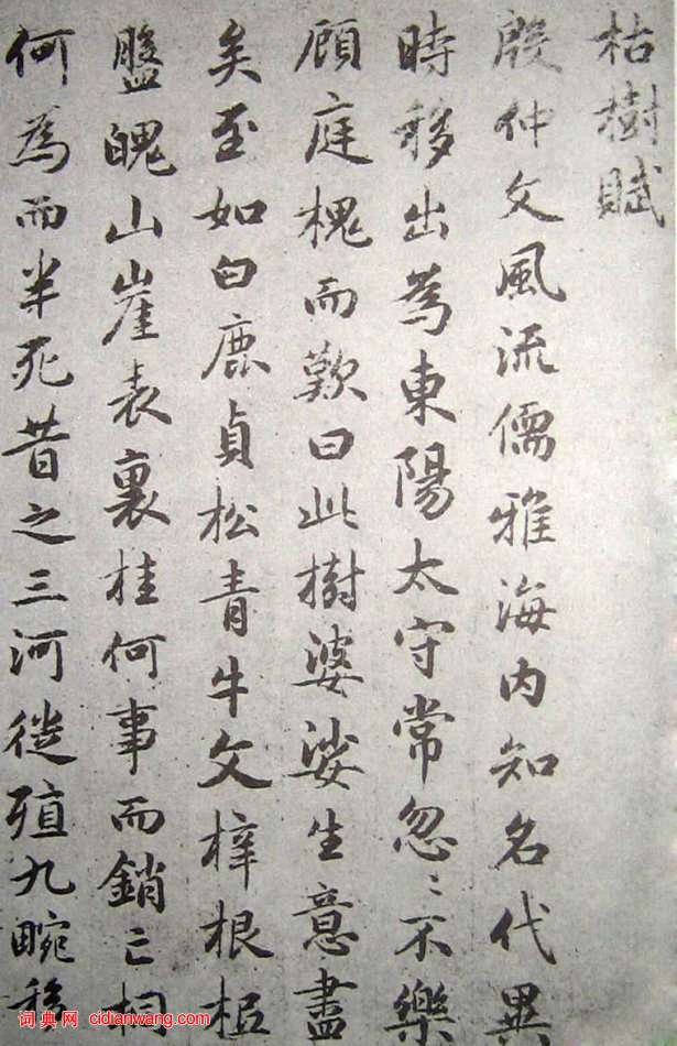 趙孟頫行書臨褚遂良《枯樹賦》