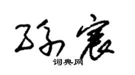 朱錫榮孫宸草書個性簽名怎么寫