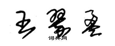 朱錫榮王翠盈草書個性簽名怎么寫