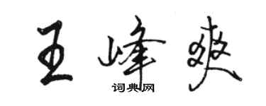 駱恆光王峰爽行書個性簽名怎么寫