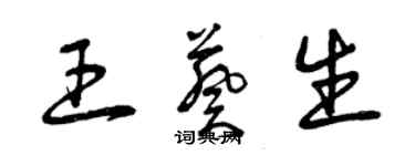 曾慶福王葵生草書個性簽名怎么寫