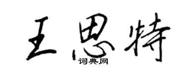 王正良王思特行書個性簽名怎么寫