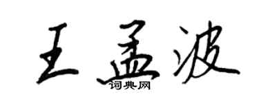 王正良王孟波行書個性簽名怎么寫