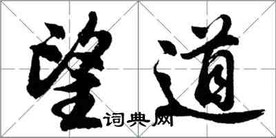 胡問遂望道行書怎么寫