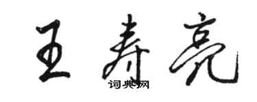 駱恆光王壽亮行書個性簽名怎么寫