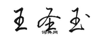 駱恆光王聖玉行書個性簽名怎么寫