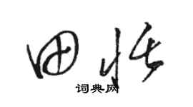駱恆光田恬草書個性簽名怎么寫