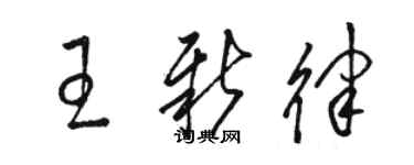 駱恆光王新律草書個性簽名怎么寫