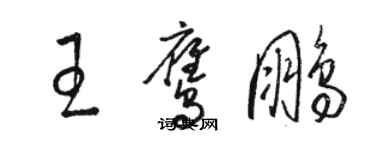 駱恆光王鷹鵬草書個性簽名怎么寫