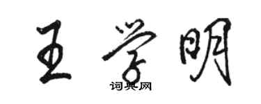 駱恆光王學明行書個性簽名怎么寫