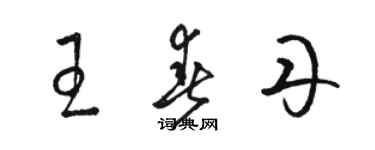 駱恆光王春丹草書個性簽名怎么寫