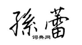 王正良孫蕾行書個性簽名怎么寫