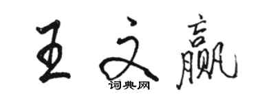 駱恆光王文贏行書個性簽名怎么寫