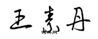 曾慶福王素丹草書個性簽名怎么寫