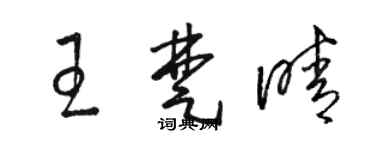 駱恆光王楚晴草書個性簽名怎么寫